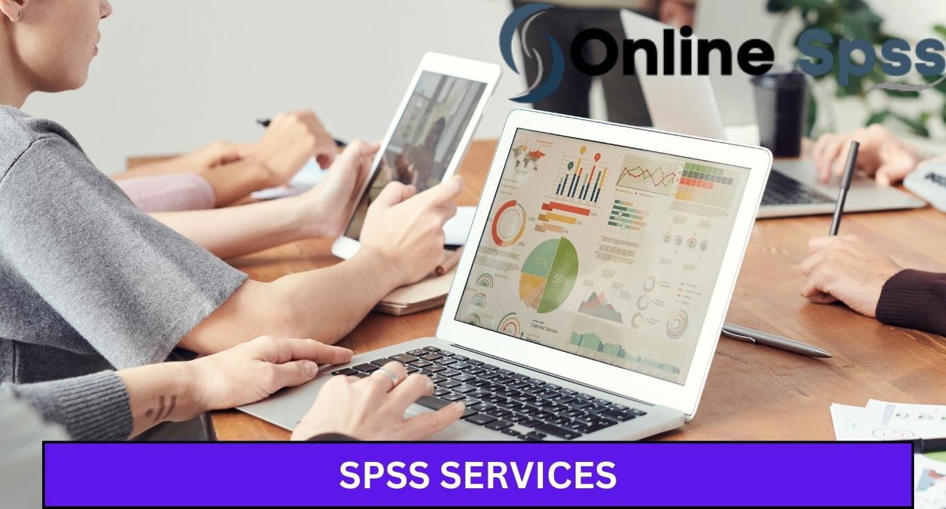 professional spss services