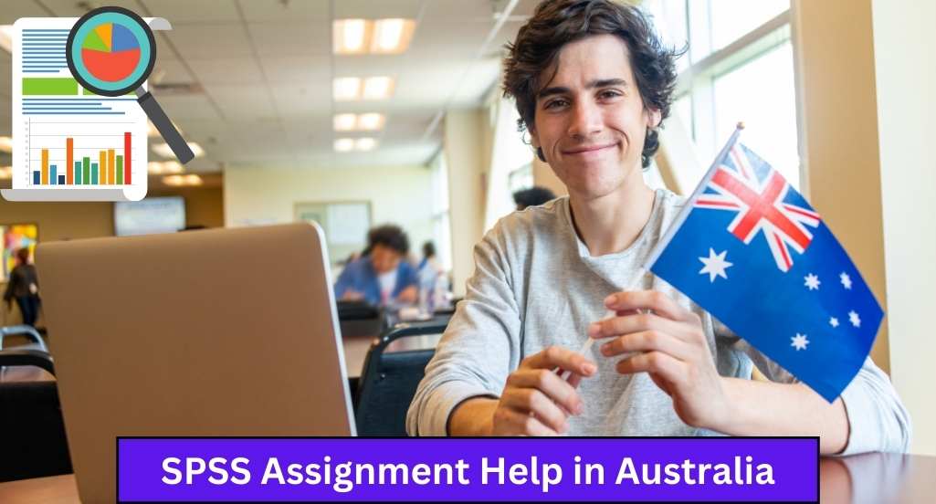 spss assignment help in Australia