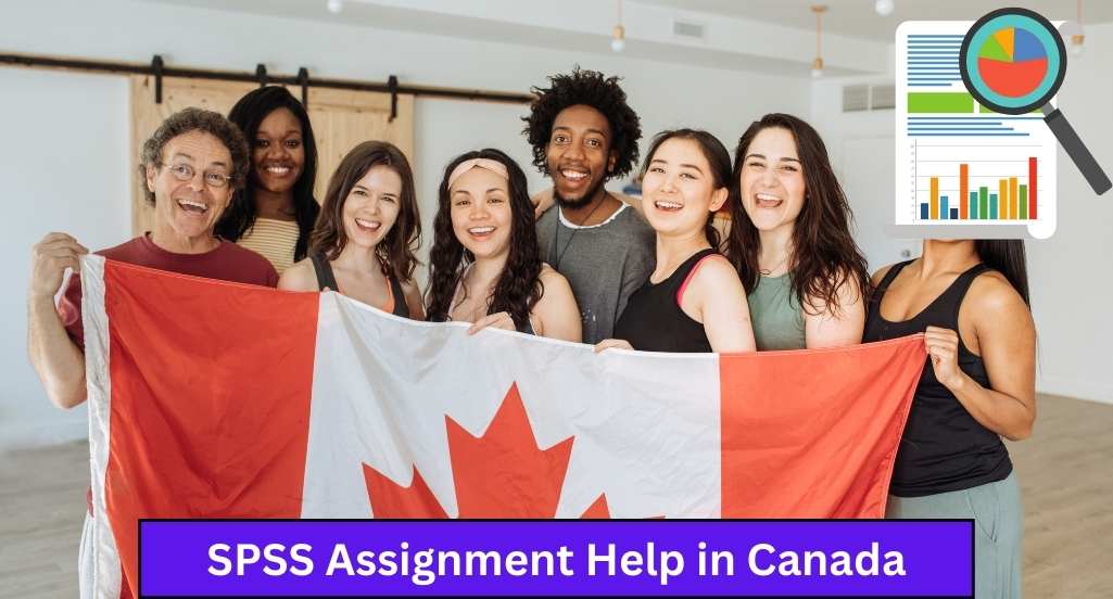 SPSS Assignment Help in Canada