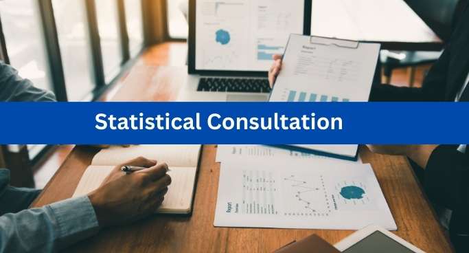 statistical consultation