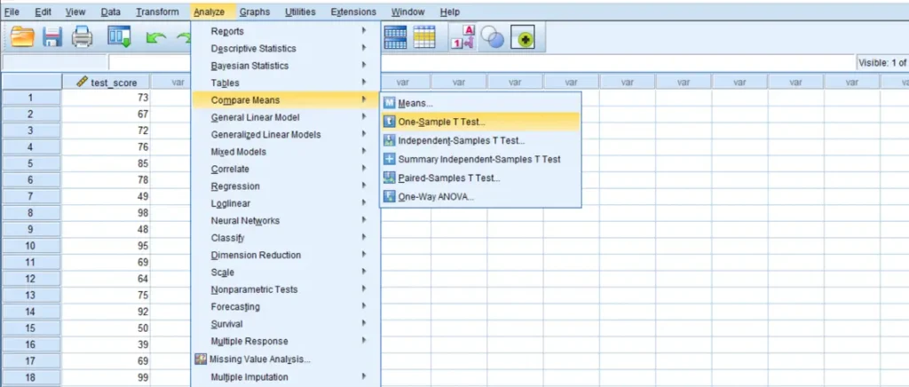 one sample t test in spss