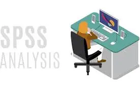 SPSS Services