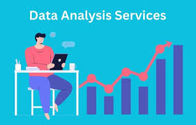 help with data analysis for dissertation