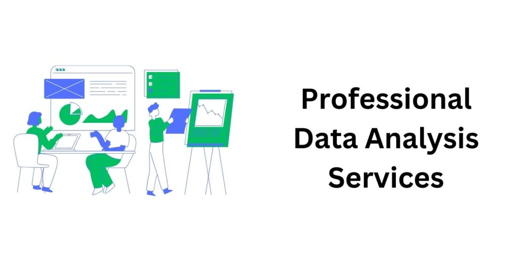 Professional Data Analysis Services