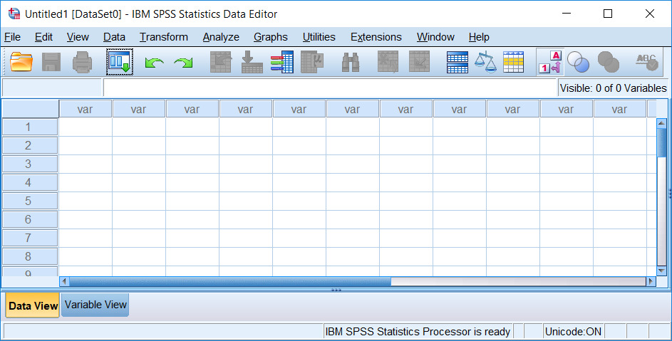 SPSS Data Editor