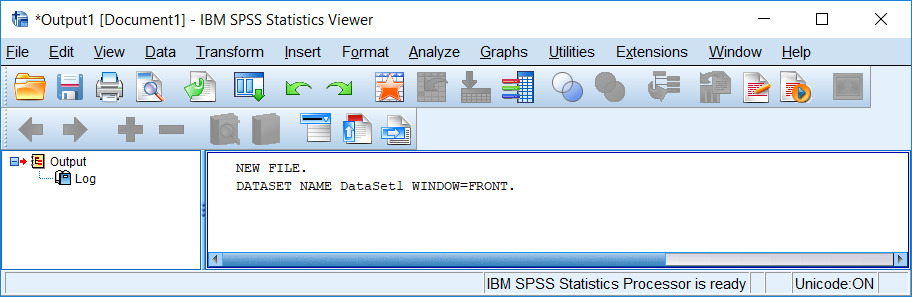 spss output window